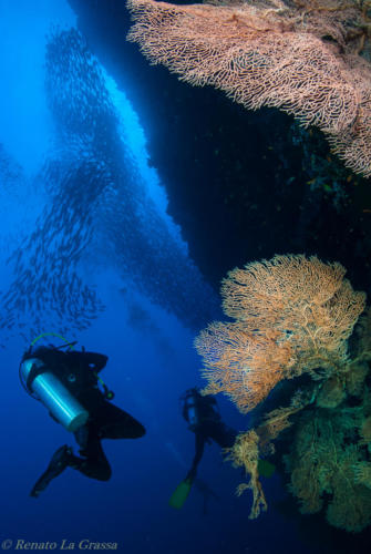 zabargad_20140429_0759